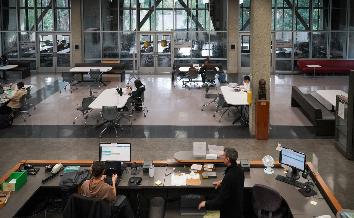 students work in the chemistry library