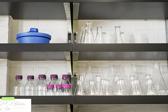 Beakers on shelves