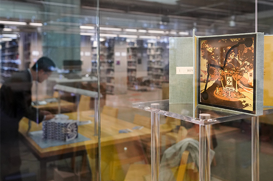 A book in a display case