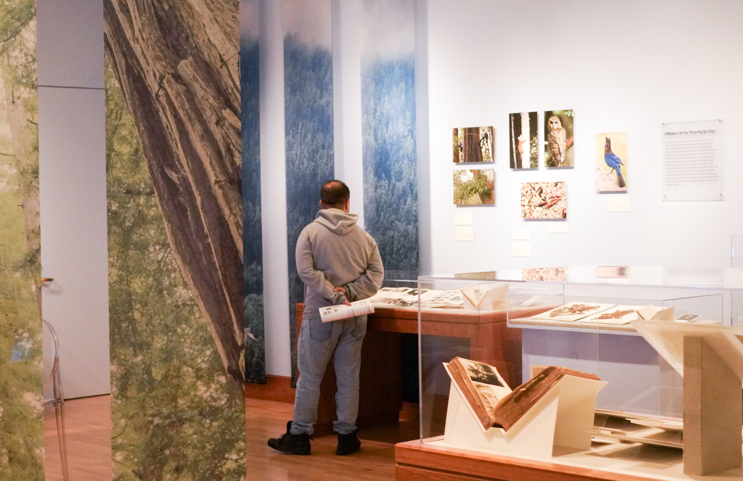 Visitor takes in the exhibit