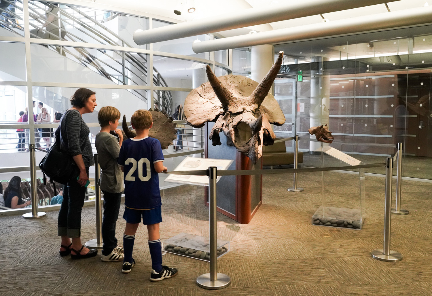 A family looks at a dinosaur skull