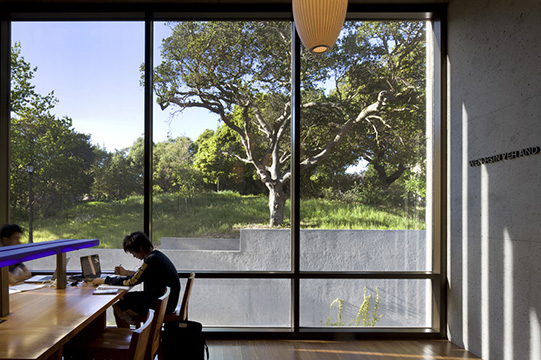 The study room in the East Asian Library