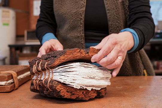 Sticks and Stones book with bark covers