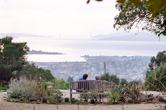 The view from Blake Garden