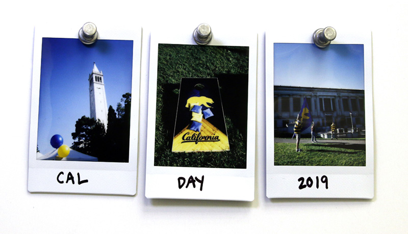 Cal Day 2019: We asked Library visitors to describe UC Berkeley in one